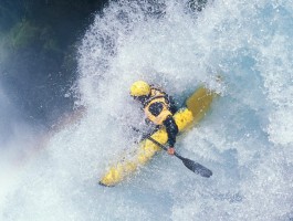 伟德源自英国1946